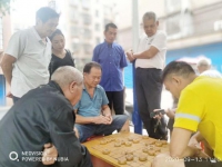 树新风，做文明有礼的娄底人