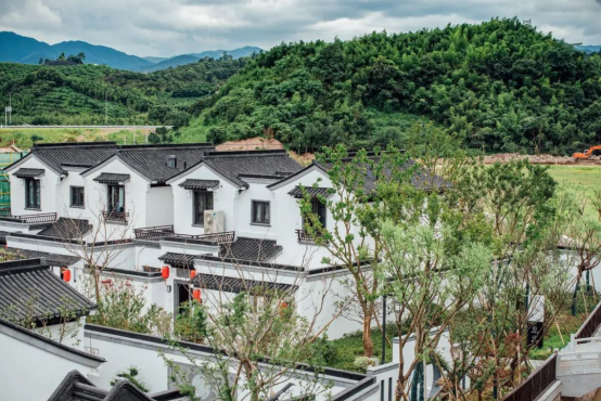 大爱城控股丨又是一年春好时大爱书院小镇风光正当季