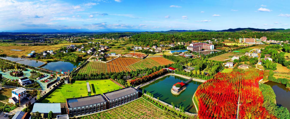 绵阳市游仙区万鸿颐养院