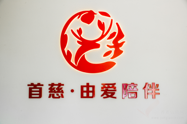 郑东新区纪委书记王永斌一行莅临郑东新区首慈·由爱陪伴调研考察