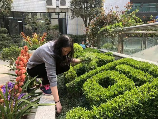成都市成华区同乐敬老院——不负春光 “植”得期待