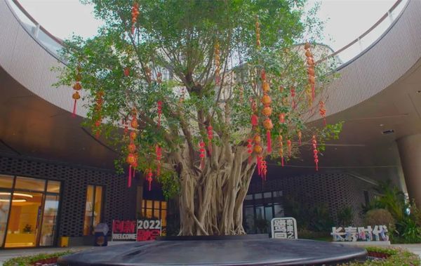 泰康之家·鹭园独家剧透照!