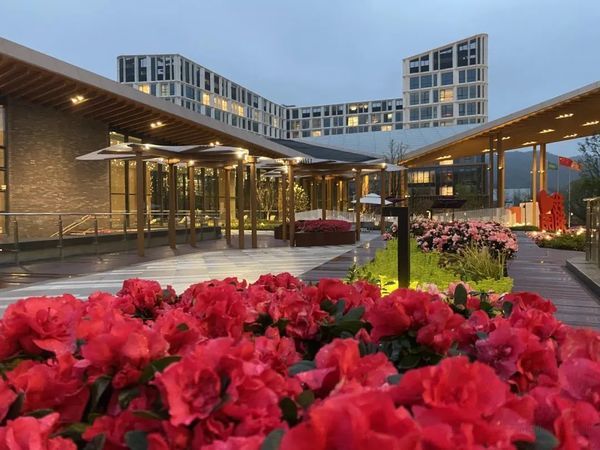 泰康之家湘园里的春色