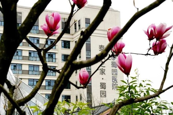 成都泰康之家蜀园——春季园内实景图