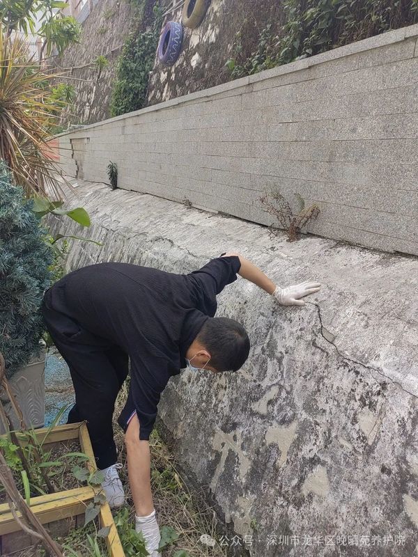 深圳市精英学子践行公益,晚晴苑养护院的老年生活因你们而温暖
