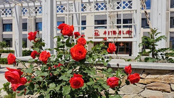 相儒养老:告别传统印象,打造高品质医养结合养老社区