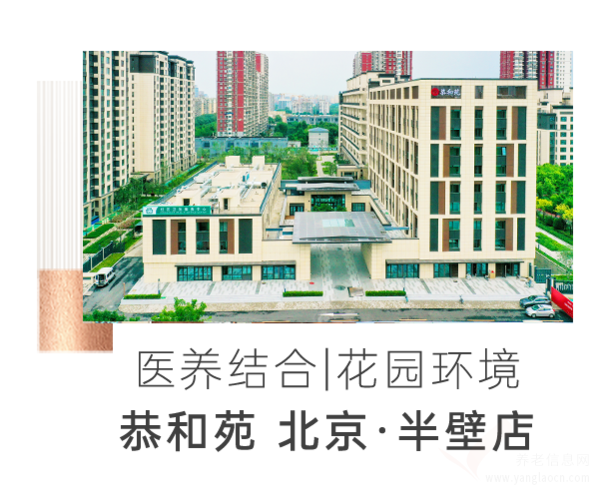 敬老校园行:老少同堂,共筑中国梦