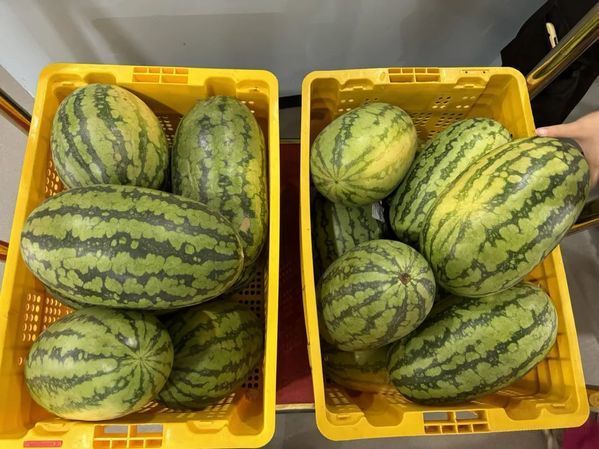 父爱如山,无声的守护:父亲节感人瞬间