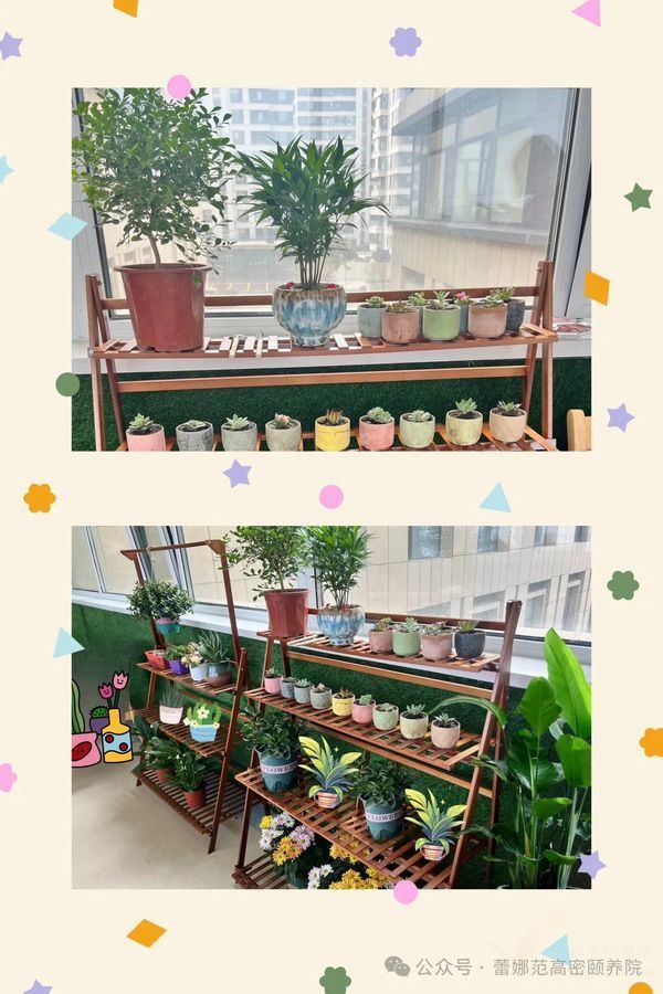 重阳佳节,共享种植与红歌的美好时光岁月不老