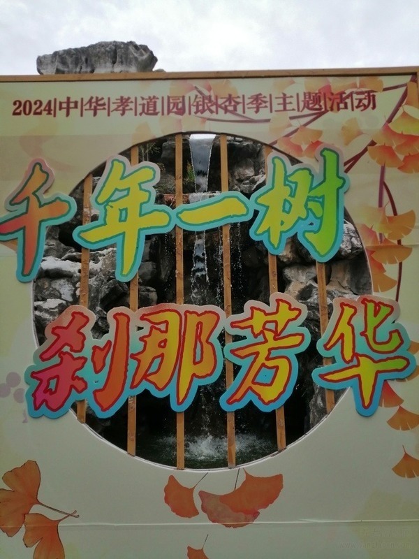 【纪实游记报告文学】走进常州市中华孝道园等景点,欢享大自然美景的人们