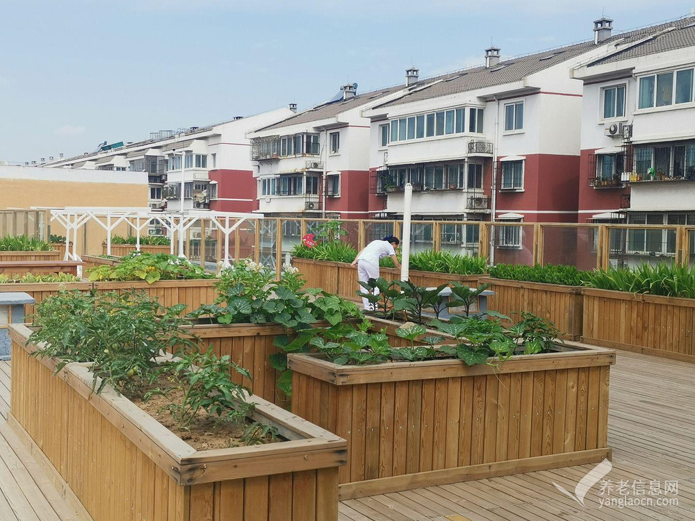 北京市海淀区上地华录风华养老照料中心