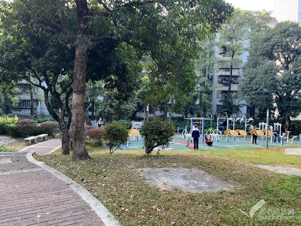 创乐福-深圳市福田区新兴社区颐康之家