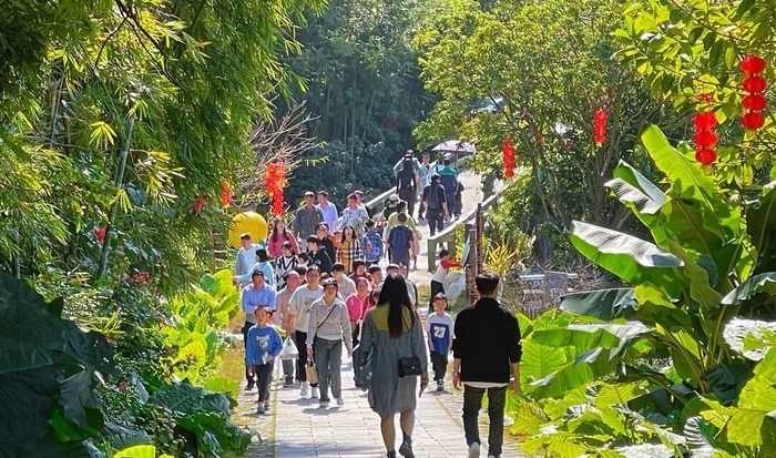莫言来了!他说,叫醒我的是罗浮山的虫鸣鸟叫~