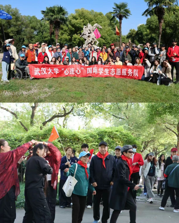 武汉太保家园颐养社区秋游惊艳全场!跨国志愿服务温暖长辈心