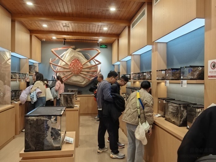 【游记摄影天地】（新诗七律二首：阳羡文旅放眼亮）