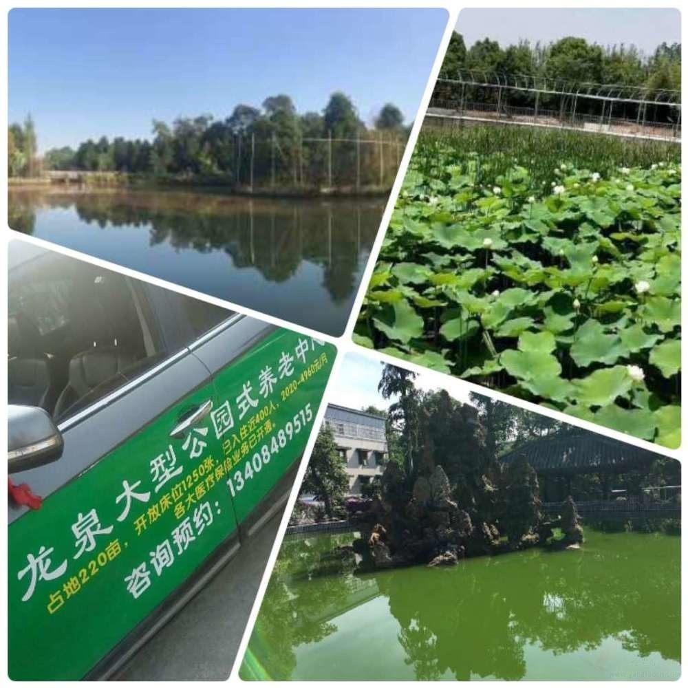 成都市纯德养老中心