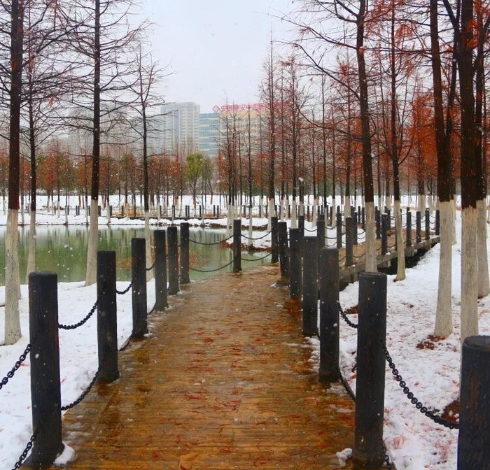 大寒逢瑞雪,静安暖如春