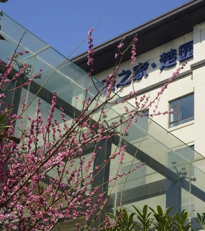 泰康之家·楚园五一爆款:带爸妈住进“严西湖畔的小珞珈”