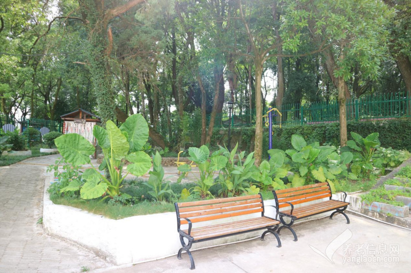 普亲养老·抚州金溪院(抚州市金溪县社会福利中心)