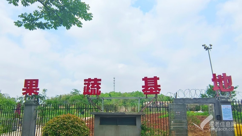 阳光康养医养中心
