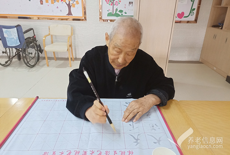 普亲养老·海口新埠岛院