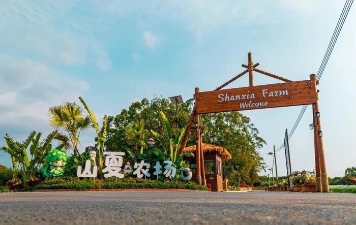 泰康之家·燕园背后的乡村力量:一位95后用咖啡屋撬动罗浮山新生态