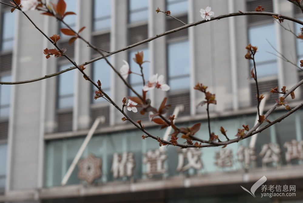椿萱茂(重庆园博园)老年公寓