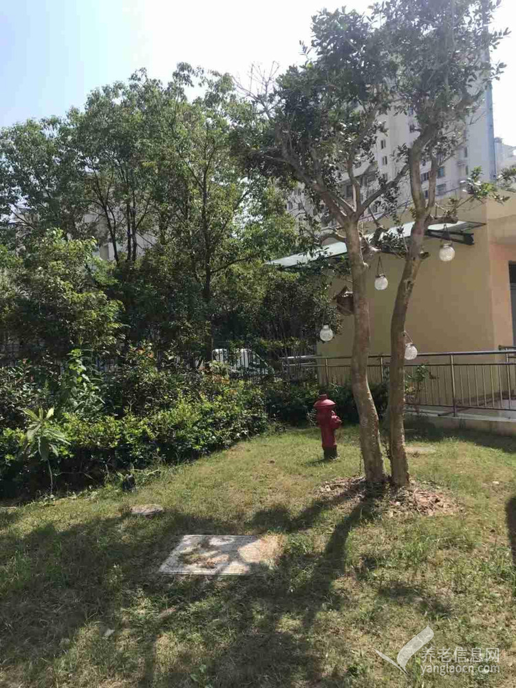 上海闵行区浦江社区浦涛长者照护之家