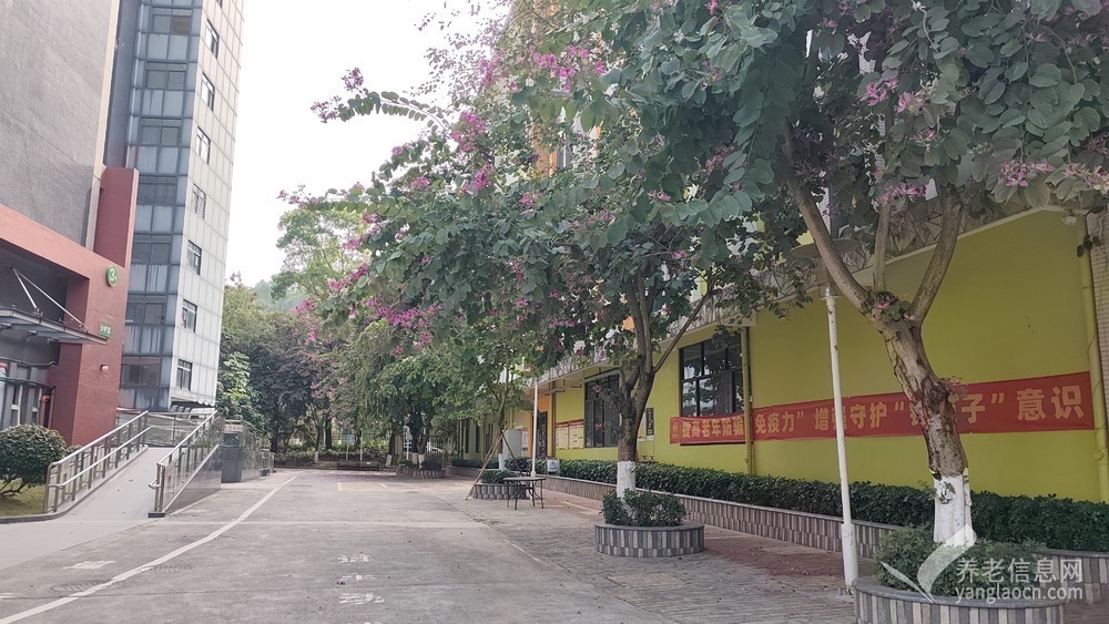 广州岭南护理院
