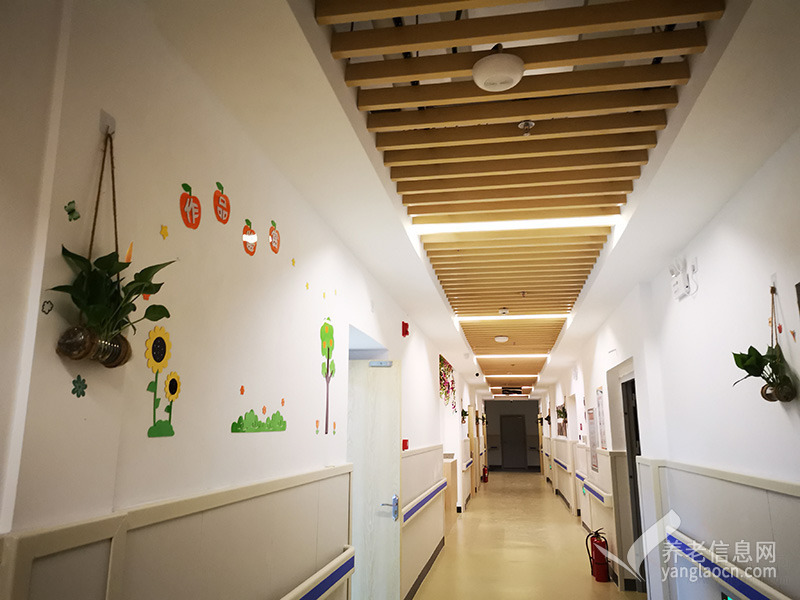 普亲养老·抚州金溪院(抚州市金溪县社会福利中心)走廊过道