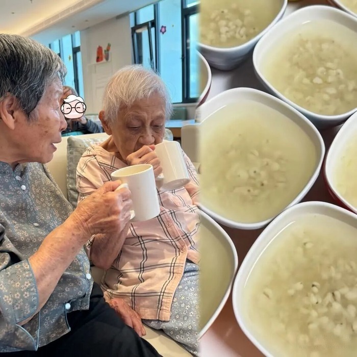黄皮熟了，琴声起了，脑子活了——桂园夏日三重奏