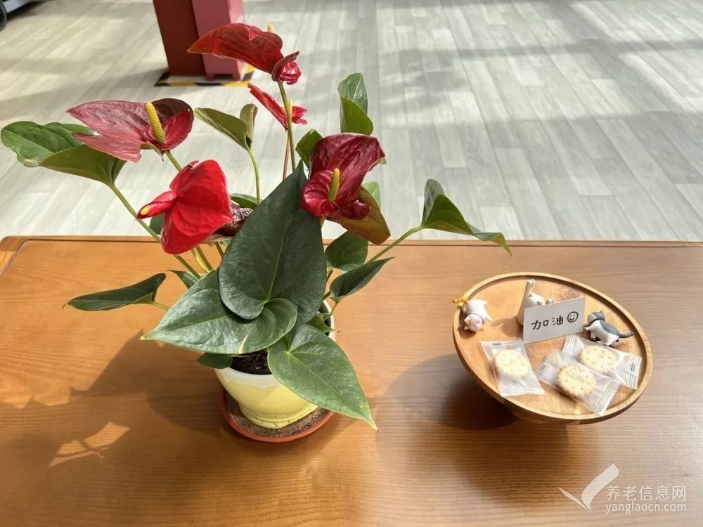 展览路街道颐寿轩养老照料中心(北京康养·展览路项目)
