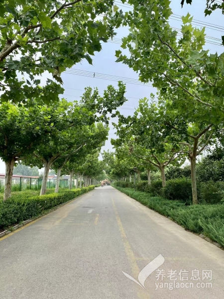 北京市朝阳区君和养老服务中心(朝阳分院)