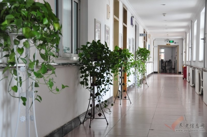 北京市海淀区温泉镇敬老院