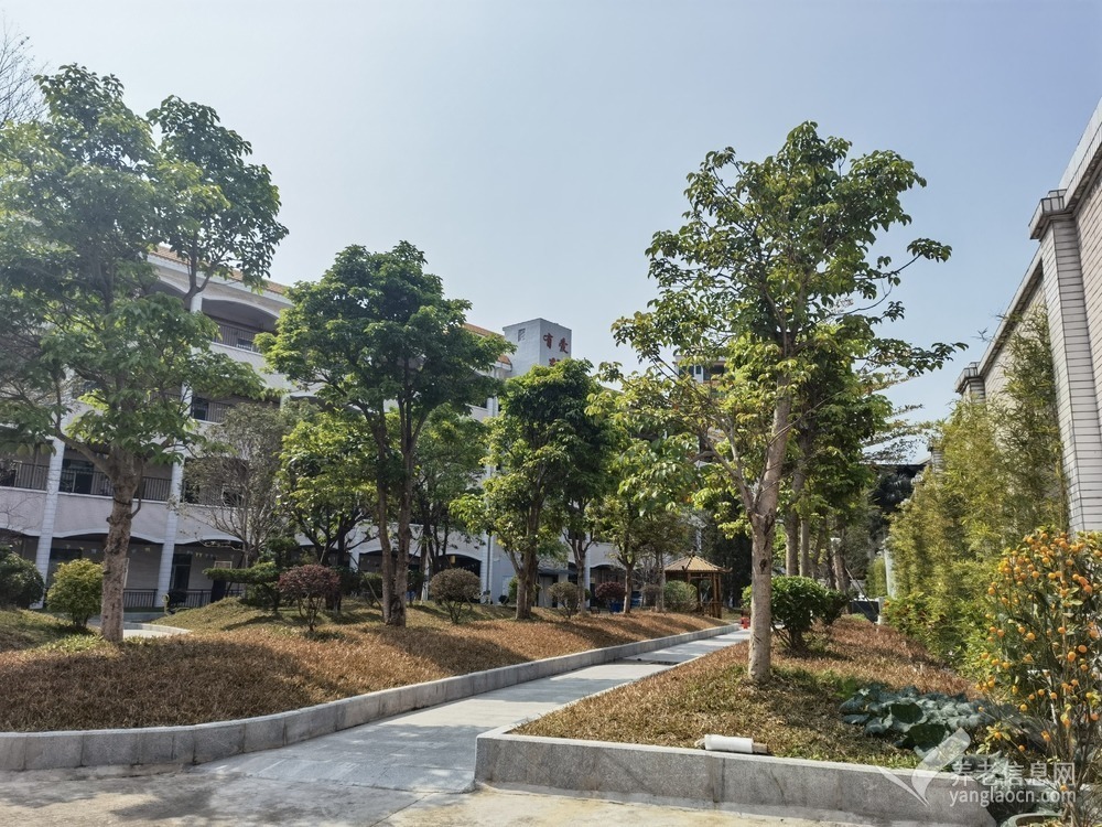 东莞有爱养老院（大朗院）