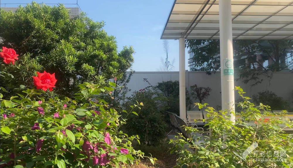 广州正皓居护理院
