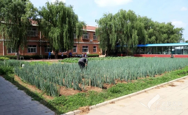 北京市顺义区南彩镇养老照料中心