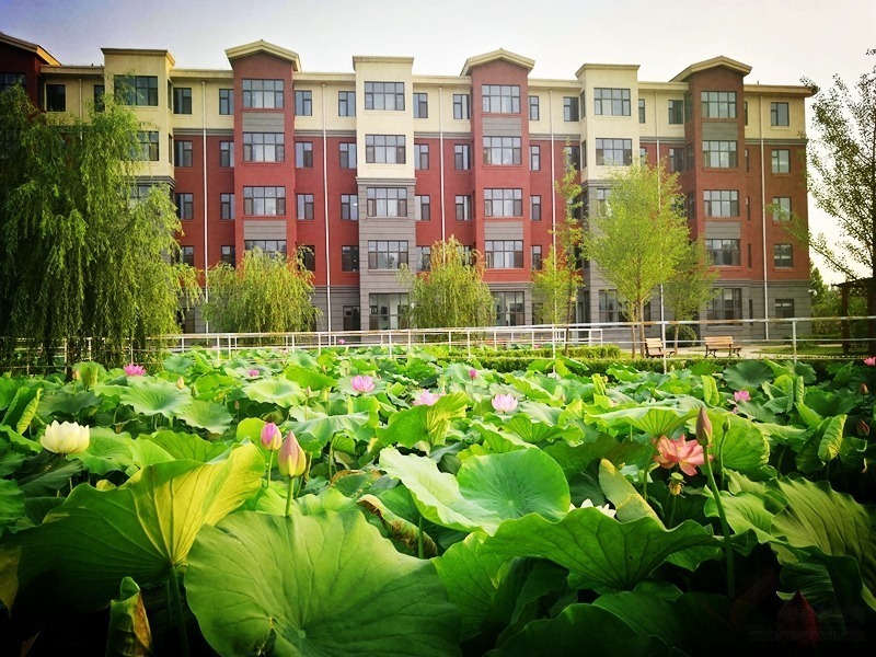 北京一福寿山福海养老服务中心