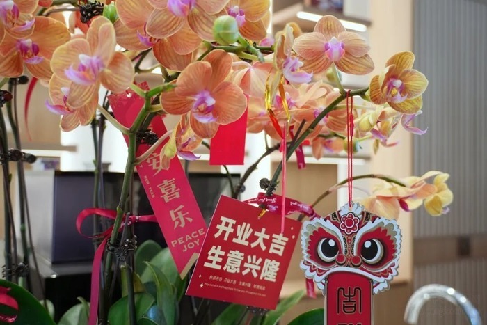 泰康之家·黔园(未开业,可预订)回家仪式感拉满!首批长辈温暖入住实录