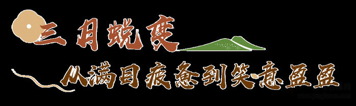 太保家园杭州国际颐养社区:86岁帕金森奶奶的8000次温柔照护奇迹