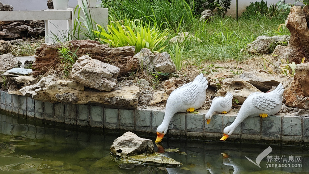 北京一福寿山福海养老服务中心