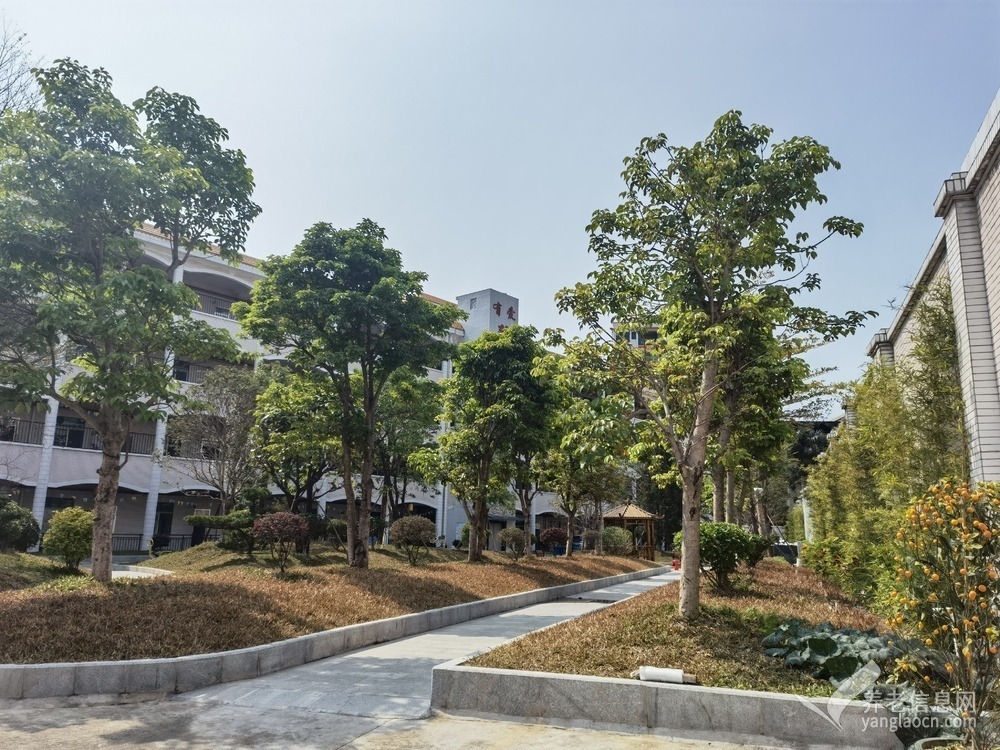 东莞有爱养老院（大朗院）